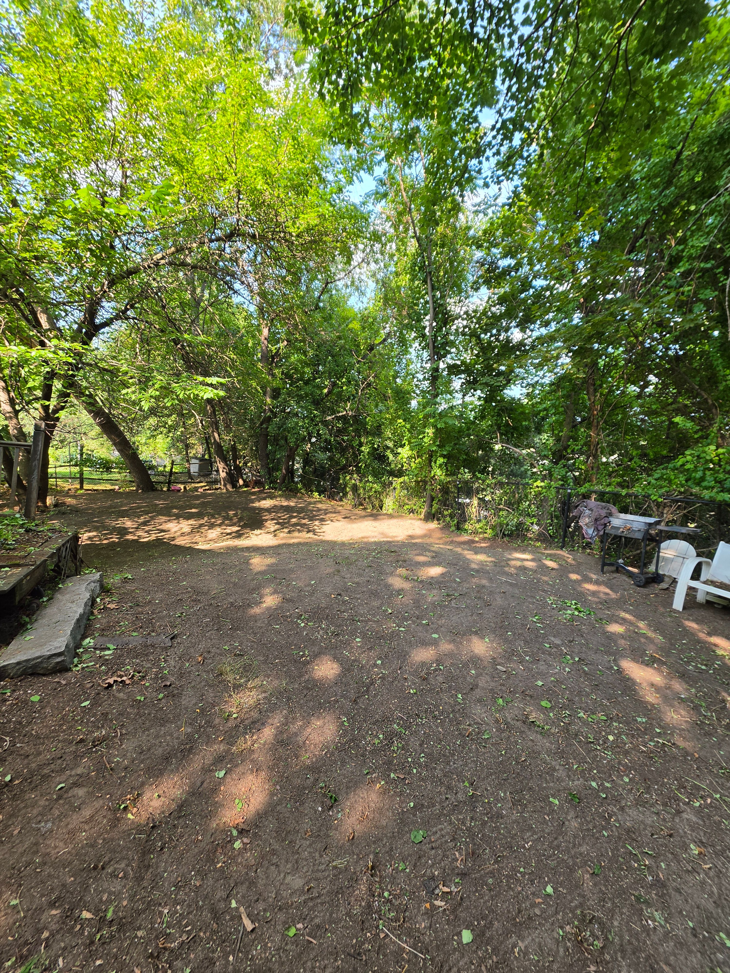 After Back Yard Overgrowth Removal